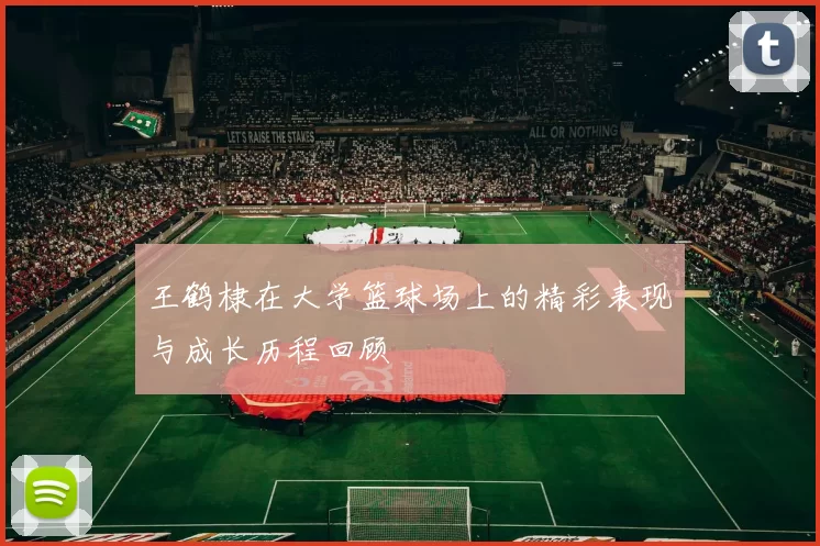 王鹤棣在大学篮球场上的精彩表现与成长历程回顾