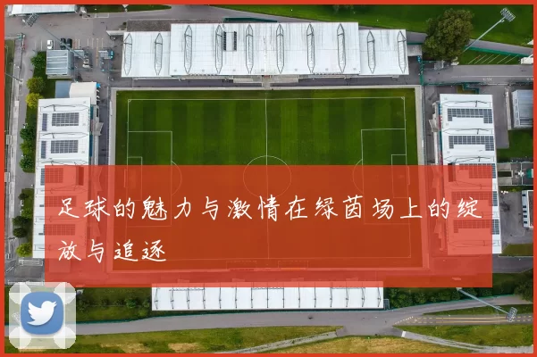 足球的魅力与激情在绿茵场上的绽放与追逐