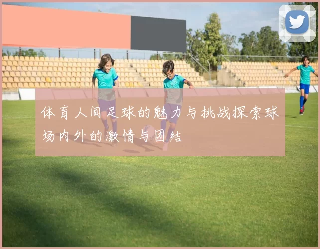 体育人间足球的魅力与挑战探索球场内外的激情与团结