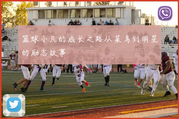 篮球小凡的成长之路从菜鸟到明星的励志故事