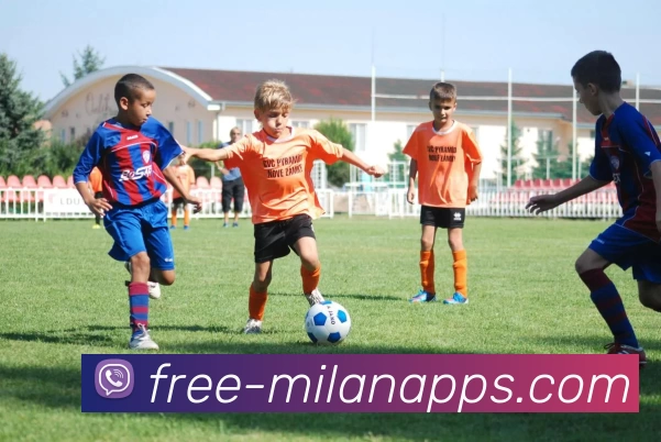 24个篮球的奇妙旅程探索运动与友谊的无限可能